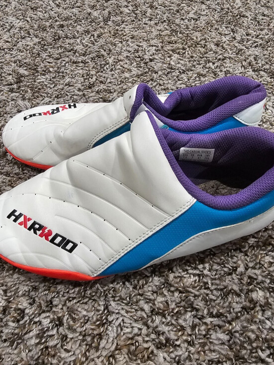 Other - HXRROO Taekwondo martial arts shoes Mens Sz 7.5